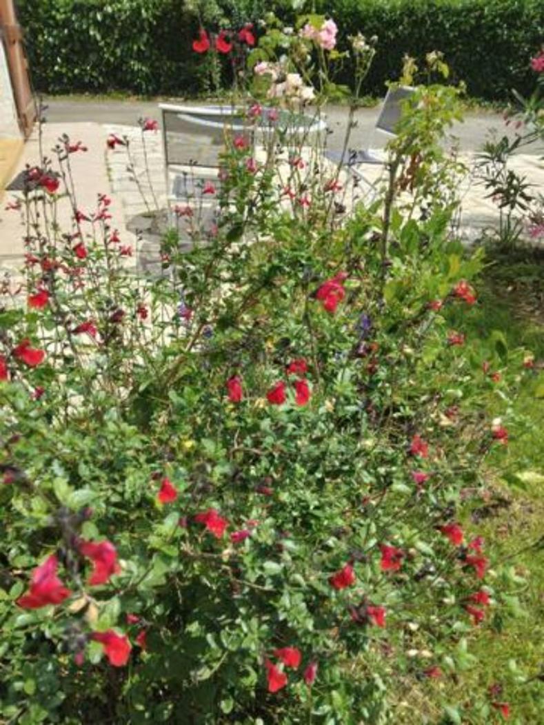 Holiday home Maison De Seyresse